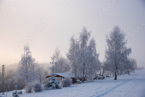 Winter in the park © Ivanica