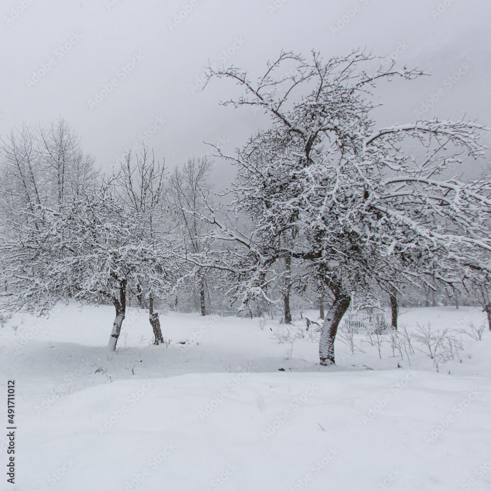 paysage de nature enneigée en hiver paysage de nature enneigée en hiver
