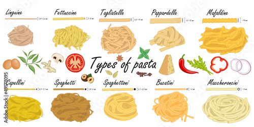 Types of pasta. Long pasta difference, illustration example. photo