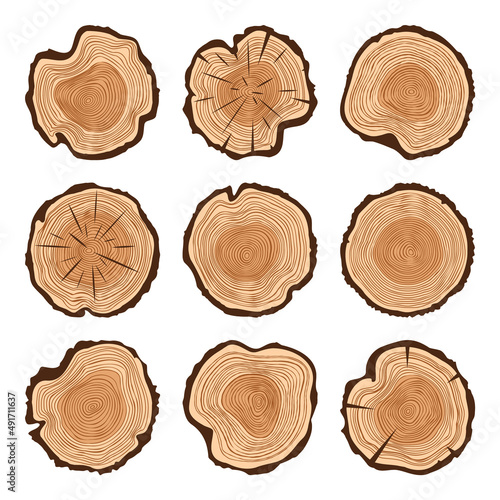 Round tree trunk cuts with cracks, sawn pine or oak slices, lumber. Saw cut timber, wood. Brown wooden texture with tree rings. Hand drawn sketch. Vector illustration