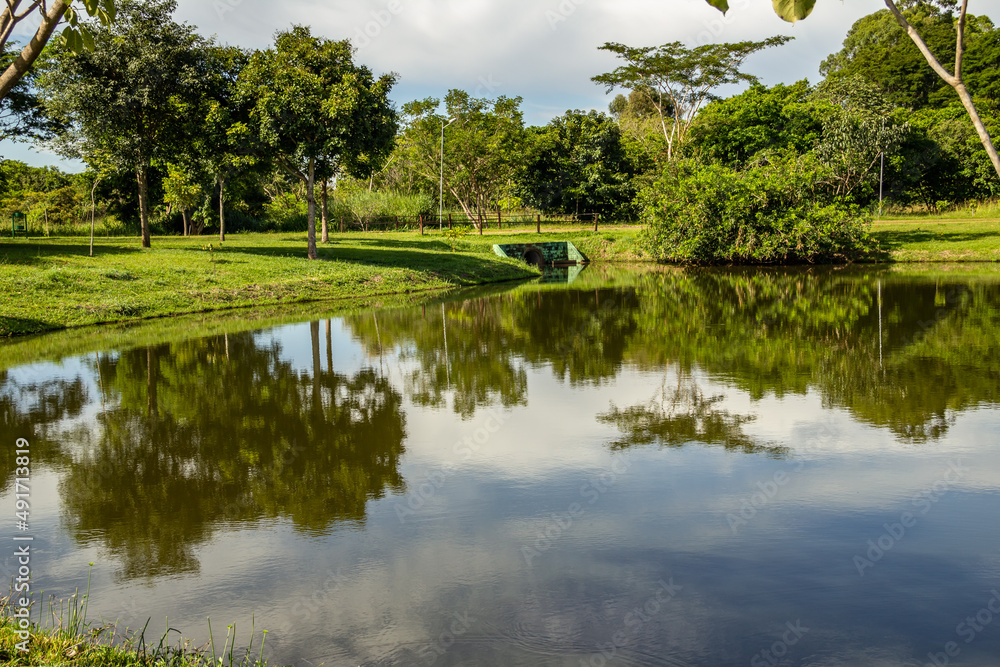 Fototapeta premium Paisagem de um parque muito arborizado e um lago, na cidade de Goiânia. Parque Leolidio di Ramos Caiado.
