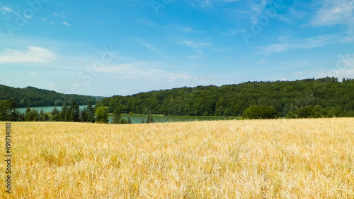 Landscape of oat field and Ostrzyckie lake, Wiezyca, Kashubian Region, Poland. photo