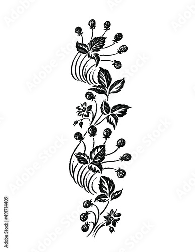 raspberry vine