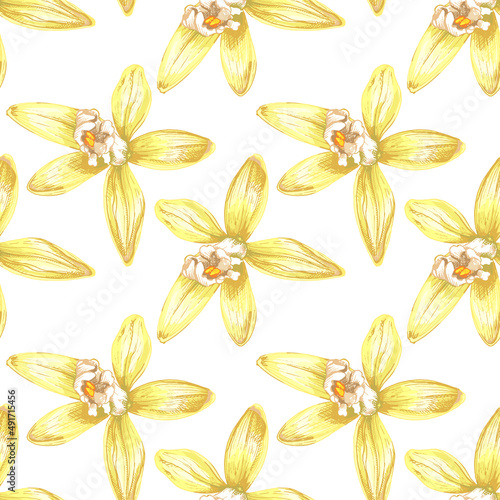 45_vanilla botanical illustration of vanilla orchid, realistic drawing, sweet fragrant fresh yellow vanilla flower set close-up on white background, foreground, seamless pattern
