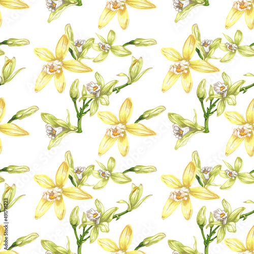 44_vanilla botanical illustration of vanilla orchid

realistic drawing, sweet fragrant fresh vanilla flower set close-up on white background, buds, branch, liana, foreground, seamless pattern