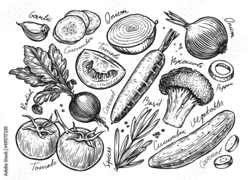 Vegetables set drawn sketch. Farm organic food vintage vector illustration