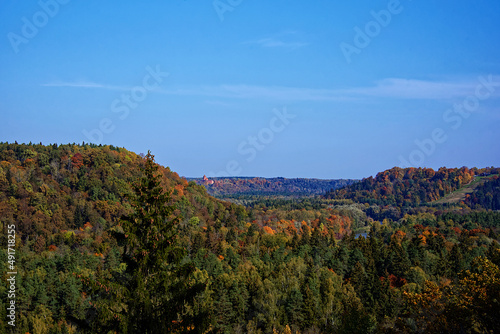 In the foreground is a spruce with cones. Autumn landscape with deciduous and coniferous trees in Sigulda, Latvia.