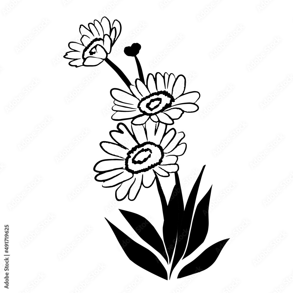 Obraz premium Daisy icon in black and white. Isolated with white background. Vector illustration.