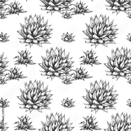 23_blue agave graphic blue agave, main ingredient of tequila, sketch, vector illustration, drawing of agave cactus, side view, seamless pattern