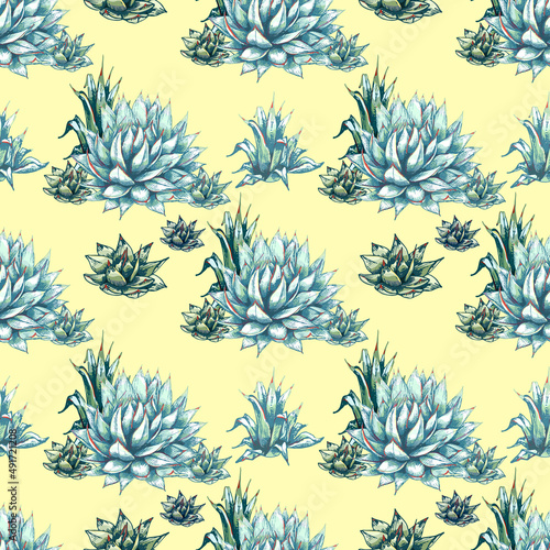 22_blue agave graphic colored blue agave, main ingredient of tequila, sketch, vector illustration, drawing of agave cactus, side view, colorful illustration, seamless pattern