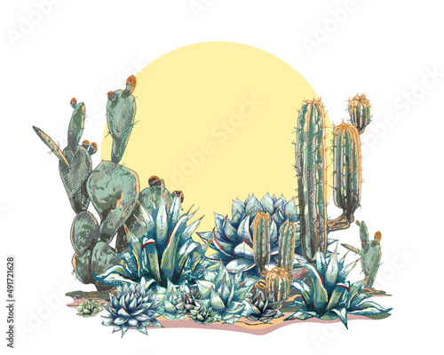 graphic colored blue agave, main ingredient of tequila, sketch, vector illustration isolated on white background, drawing of agave cactus, side view, colorful illustration, set, Desert Cactus