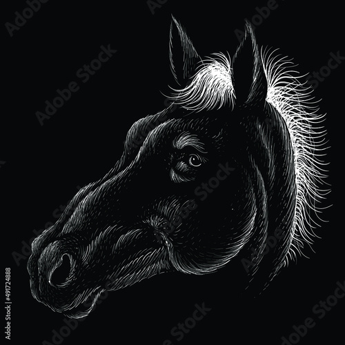 horse, horses, hair, tattoo, wild, face, isolated, old, drawing, print, black, type, head, halloween, natural, picture, vector, illustration, t shirt, design, background, art, wallpaper, logo, motorcy photo
