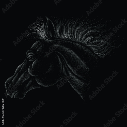 horse, horses, hair, tattoo, wild, face, isolated, old, drawing, print, black, type, head, halloween, natural, picture, vector, illustration, t shirt, design, background, art, wallpaper, logo, motorcy