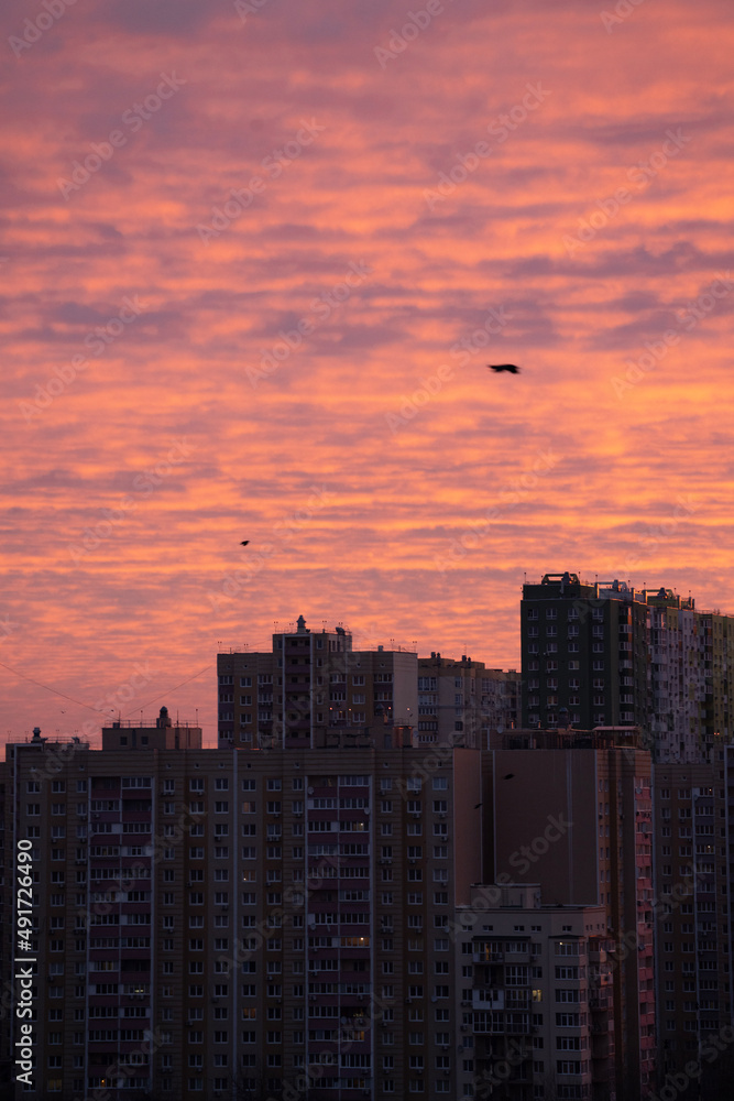 Fototapeta premium sunrise over the city