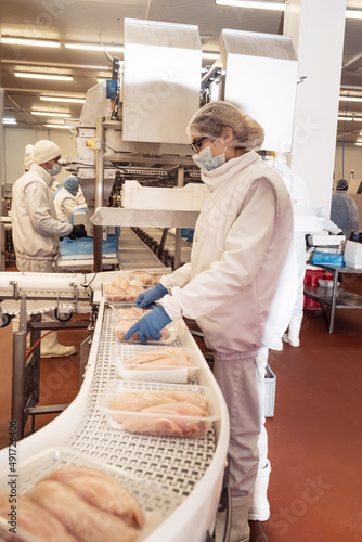 Line for the production of semi-finished meat products.Meat processing in food industry.Packing of meat slices in boxes on a conveyor belt.modern poultry processing plant.