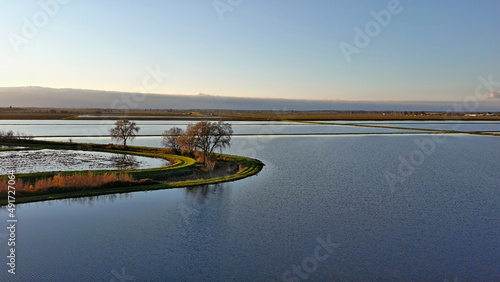 Northern California rice farm. 