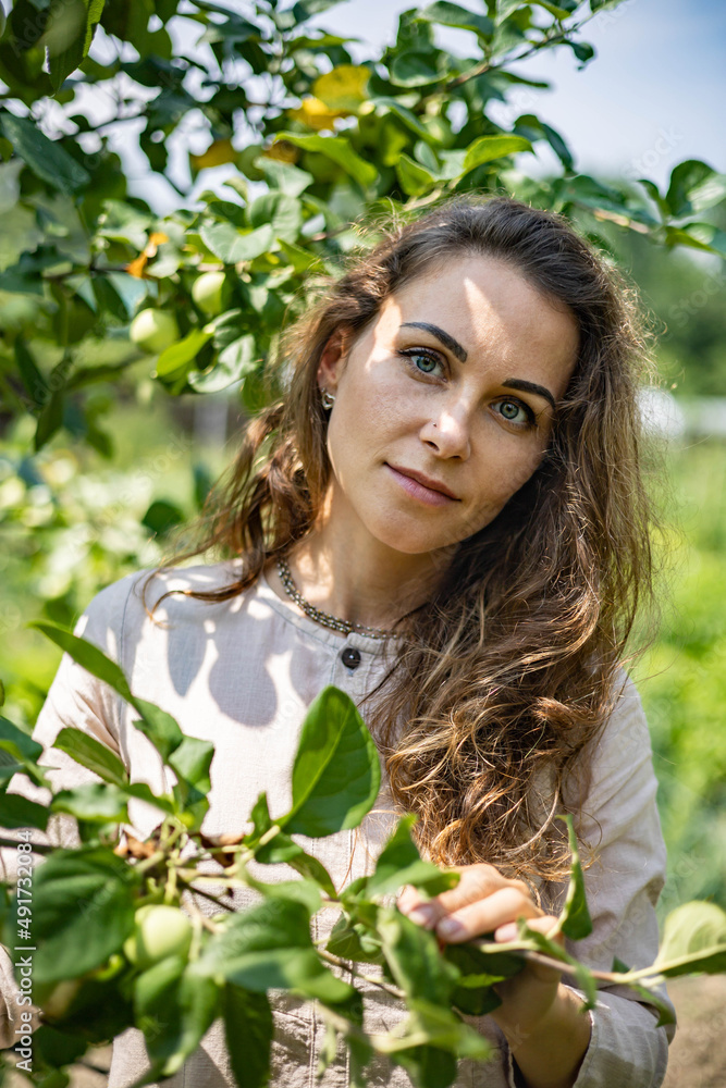 Young beautiful girl picks not big apples in the garden Young beautiful girl picks not big apples in the garden