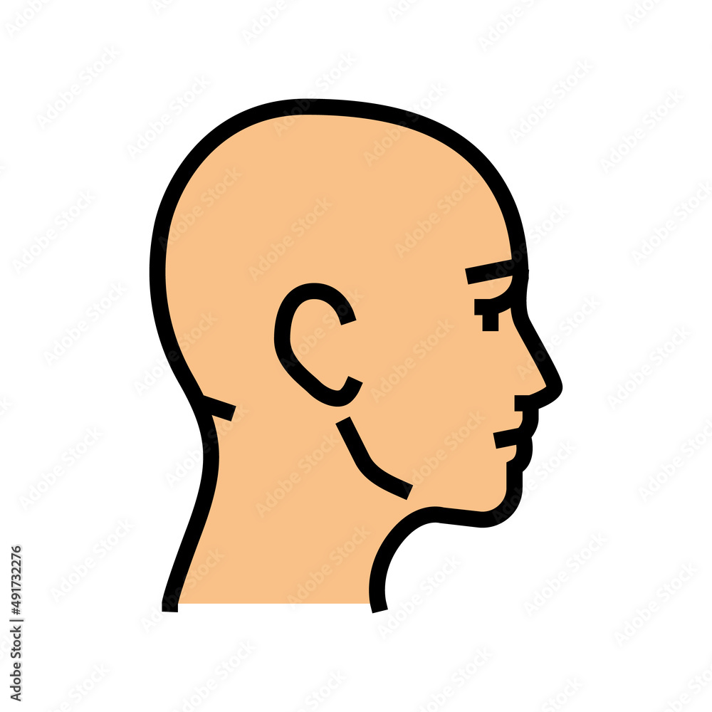 head human color icon vector. head human sign. isolated symbol illustration