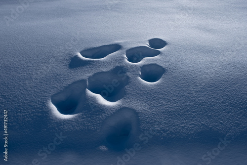 Des traces de pas dans la neige photo