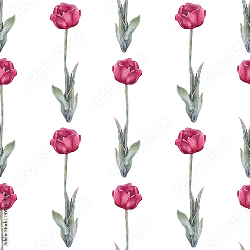 Seamless pattern watercolor red tulip with green leaves isolated on white background. Hand-drawn spring flower for celebration card march 8. Nature art for wallpaper wrapping sketchbook florist