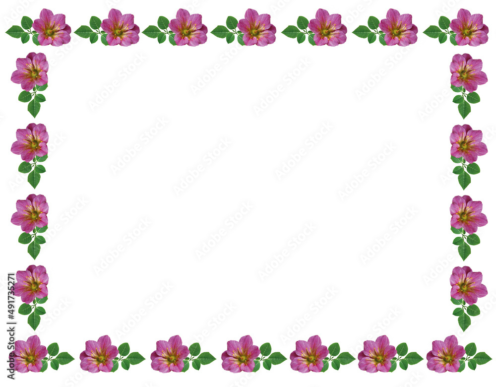 Decorative spring and summer floral frame with rock garden flowers. The frame is made of tiny pink fresh flowers and leaves with space for your text. Decorative spring and summer floral frame with rock garden flowers. The frame is made of tiny pink fresh flowers and leaves with space for your text.