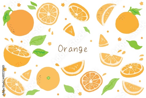 Fototapeta Naklejka Na Ścianę i Meble -  手描きのオレンジのイラスト素材セット