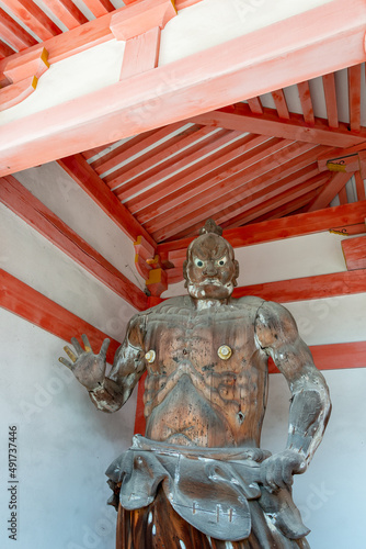 Wooden statue of Nio (guardian god of Buddhism) of Tsubosaka temple in Nara, Japan photo