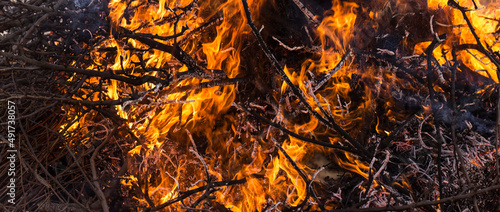 Flaming fire. Burning tree branches. Pagan rite dedicated to the arrival of spring. Big bonfire on Shrovetide. Auto-da-fe, ritual of public punishment, burning at the stake.