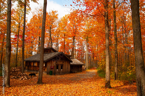 Cabin in autumn