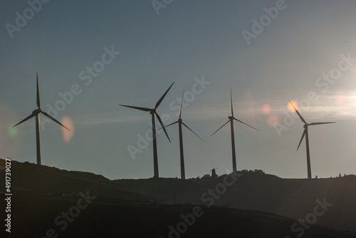 풍력발전과 고랭지 배추 밭 © photok21