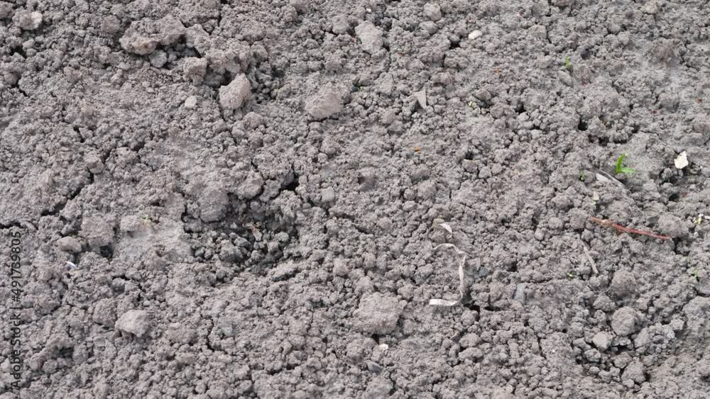 Organic back soil in garden for organic plant grow. Agriculture preparation. Ground surface field for farming. Farm background Organic back soil in garden for organic plant grow. Agriculture preparation. Ground surface field for farming. Farm background