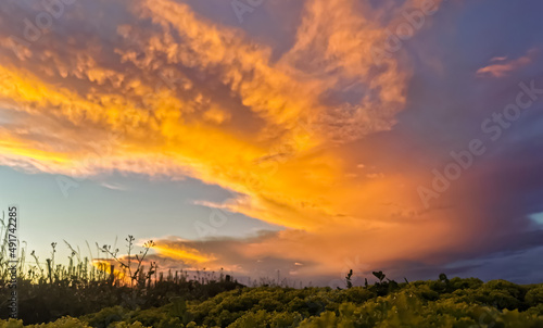 sunset in the field