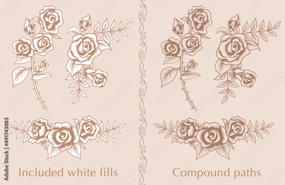 Rose flower decoration set - line art, vintage style, These are composed of compound paths or Included white fills