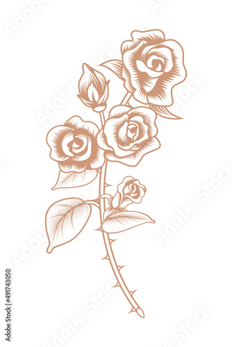 Rose cut flower decoration - line art, vintage style