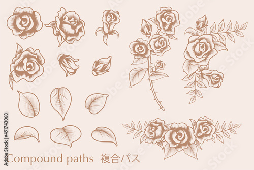 Rose flower decorations set, Created by compound paths - line art, vintage style
