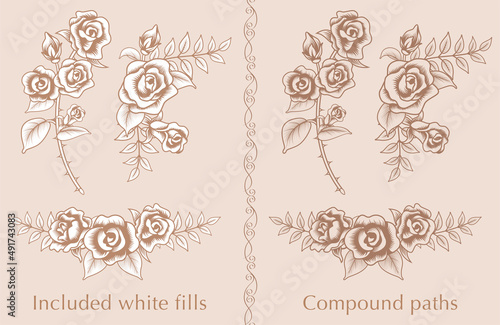 Rose flower decoration set - line art, vintage style, These are composed of compound paths or Included white fills