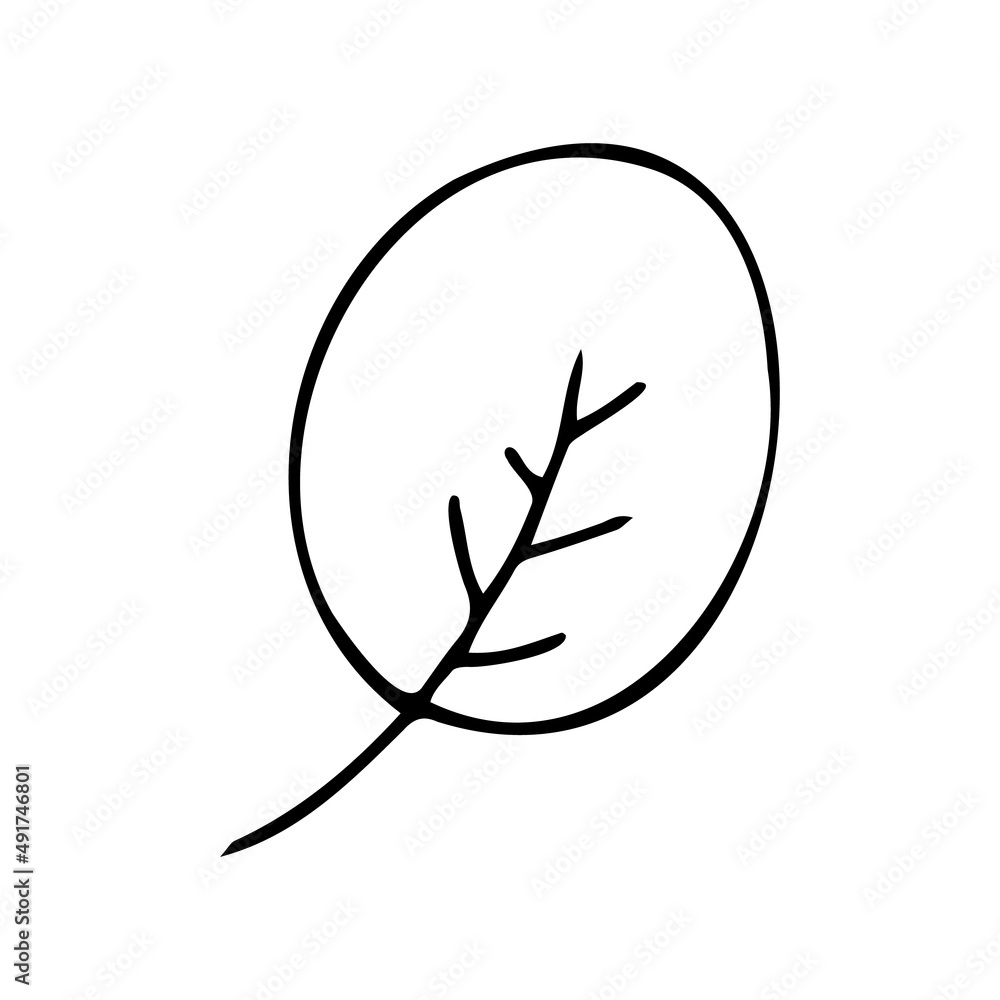 Garden potted plant doodle icon, decoration and decor Garden potted plant doodle icon, decoration and decor