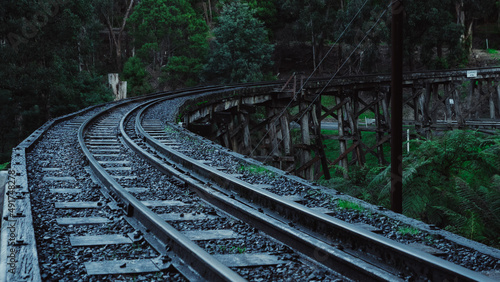 Railroad tracks in the forest