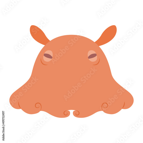 メンダコのイラスト