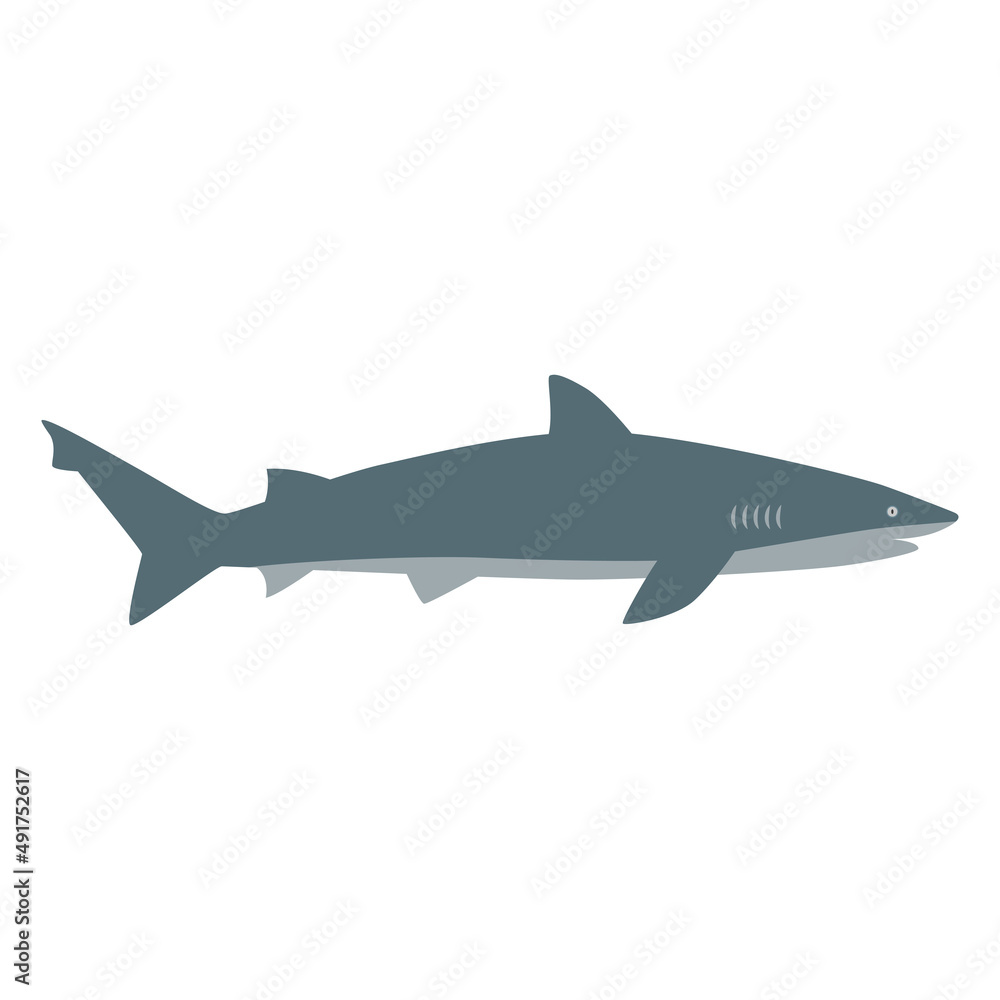 Fototapeta premium サメのイラスト
