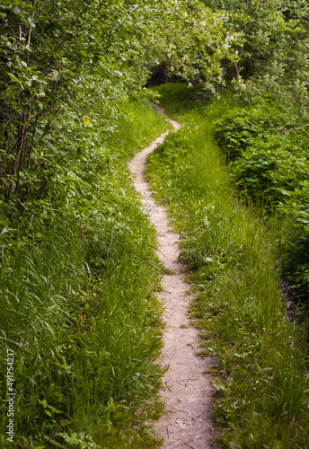 A narrow winding footway is a walking path among green grass and bushes on a summer day.