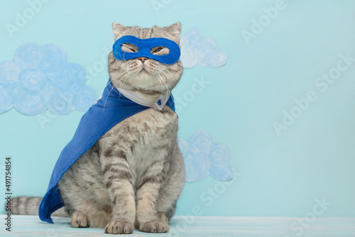 Scottish cat superhero in a mask and raincoat © Anton