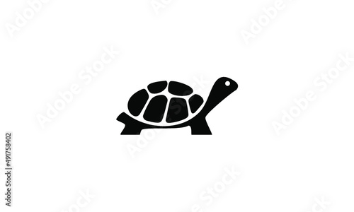 turtle vector photo