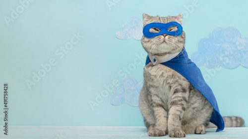 Scottish cat superhero in a mask and raincoat © Anton