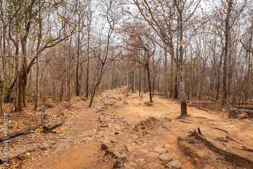 Drought landscape of tropical rainforest in summer.