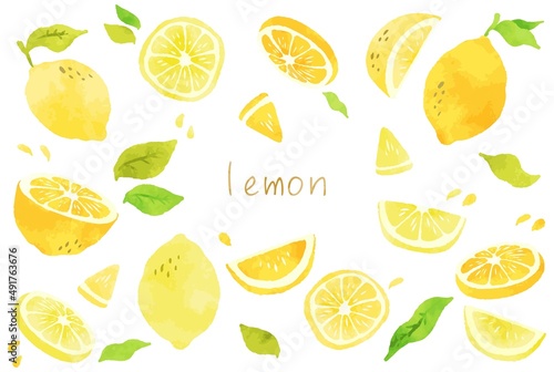 綺麗な水彩画のレモンのイラスト素材セット