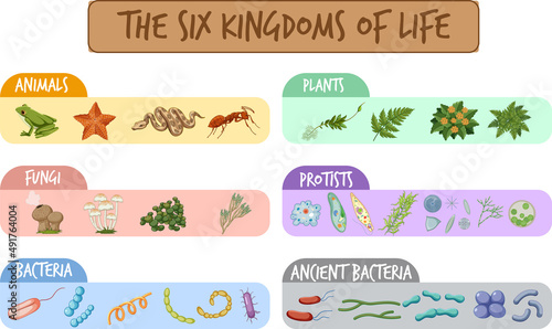 Diagram showing six kingdoms of life