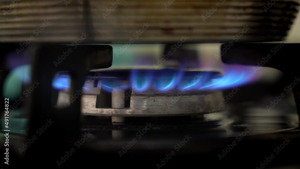 A closeup shot of the burning gas burner on the kitchen stove