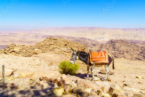 Desert mountain landscape, with a donkey, near Petra