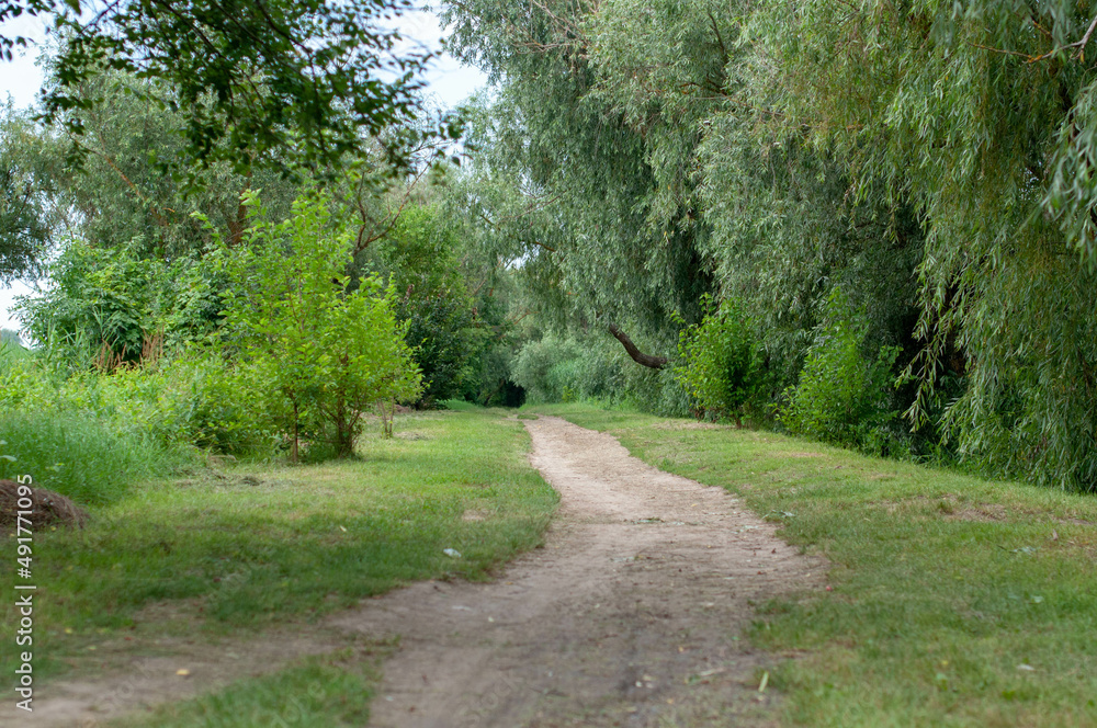 footpath in the park near the river